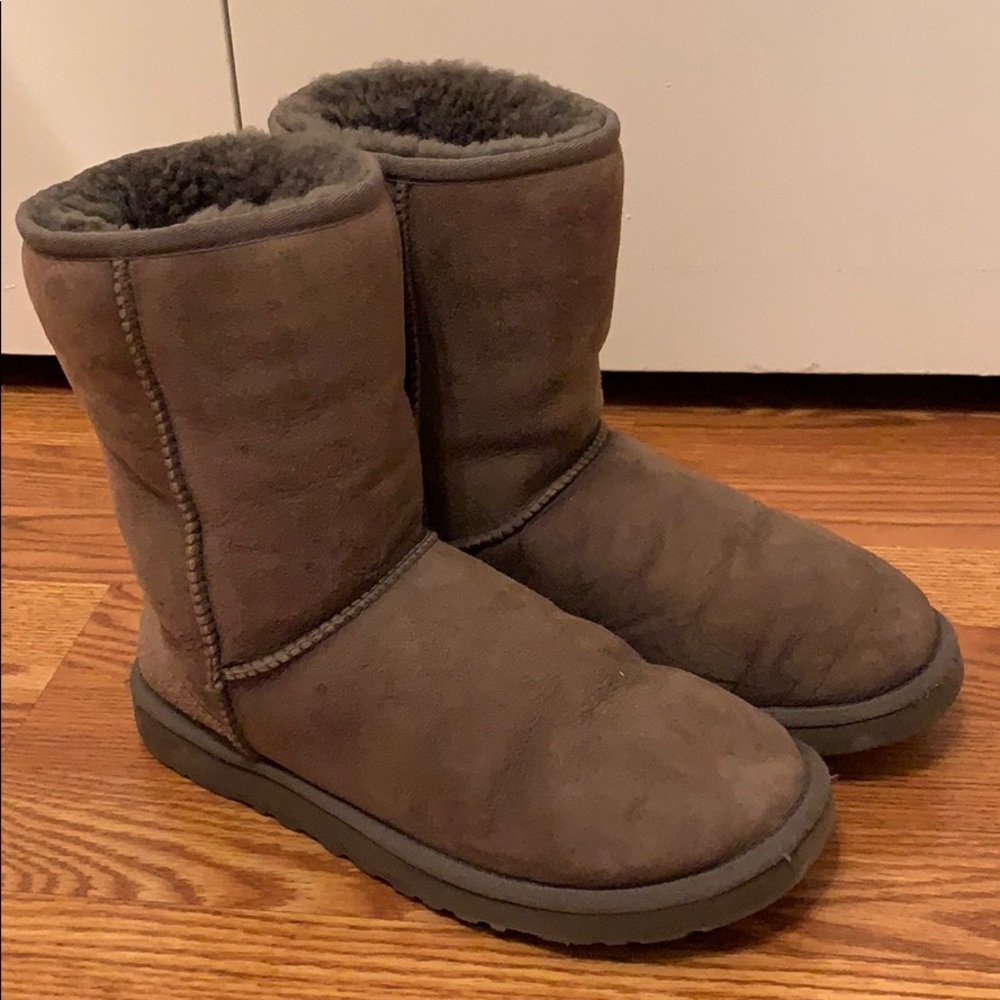 Classic short gray ugg boots